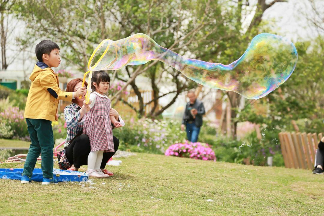 麓湖艺术浮桥设计师招募