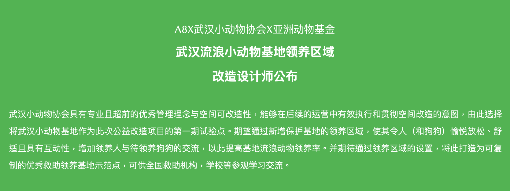 A8@武汉媒体见面会：设计向善，以四大板块拓展公益新可能