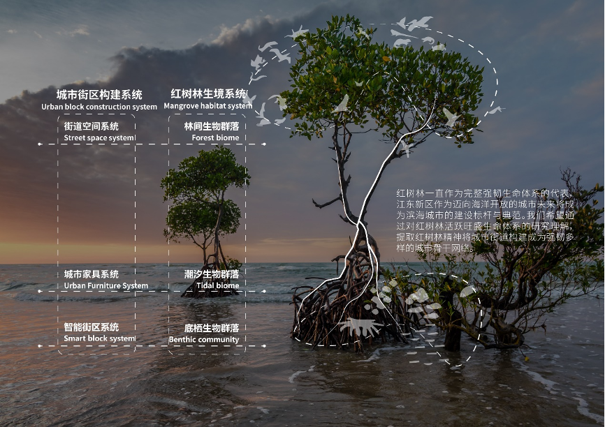 Streetscaping@海口方案征集获奖设计师公示