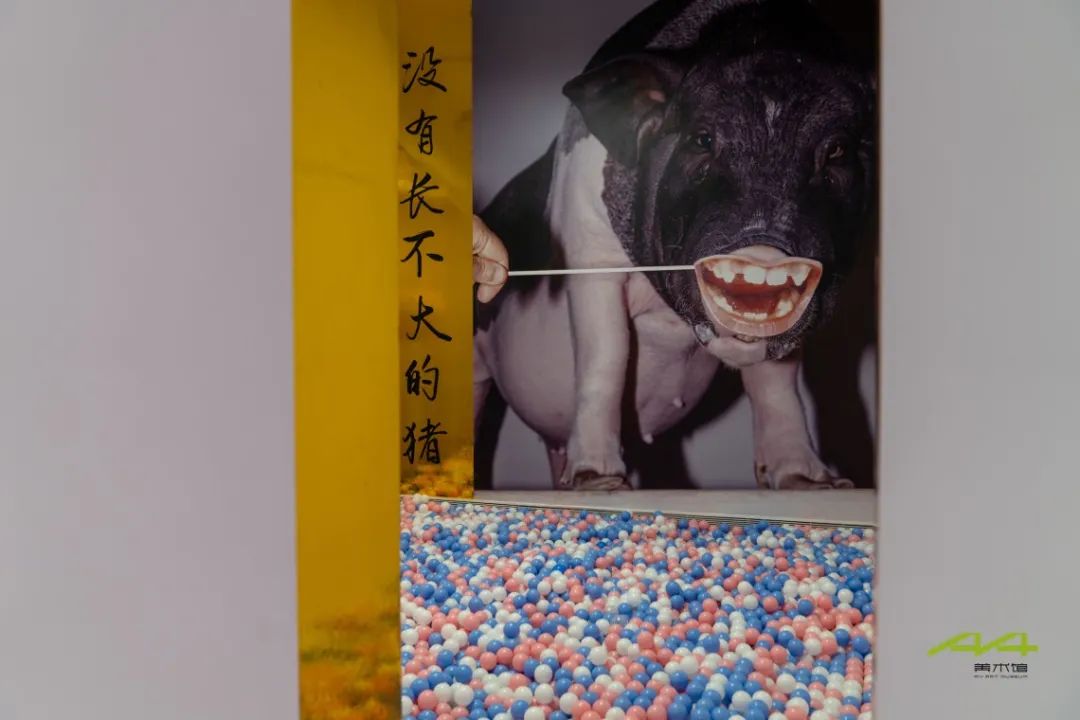 设计说：有样建筑设计事务所—冯立个展展陈设计
