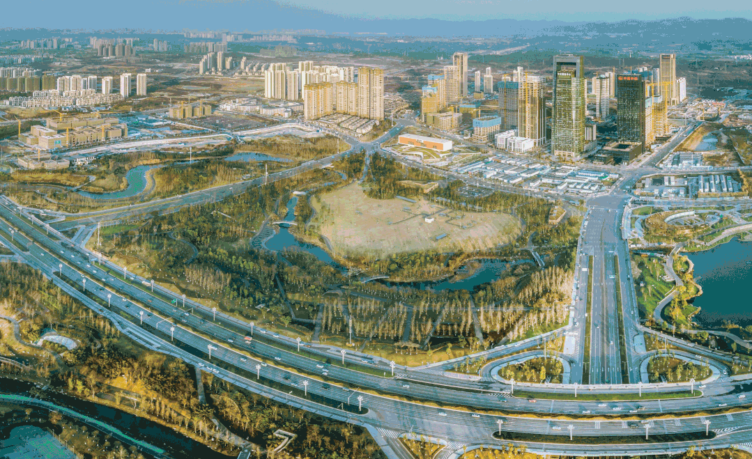 天府公园大草坪 | 特邀嘉宾、市民观察团、工作营日程公布