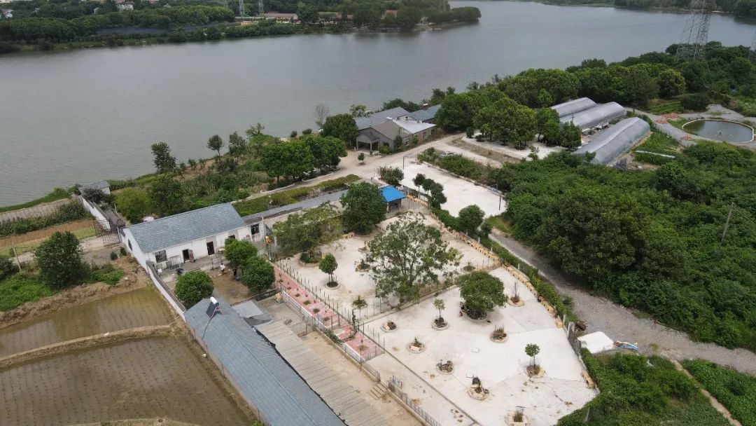 A8 驻留 | 武汉流浪小动物基地改造过程大揭秘