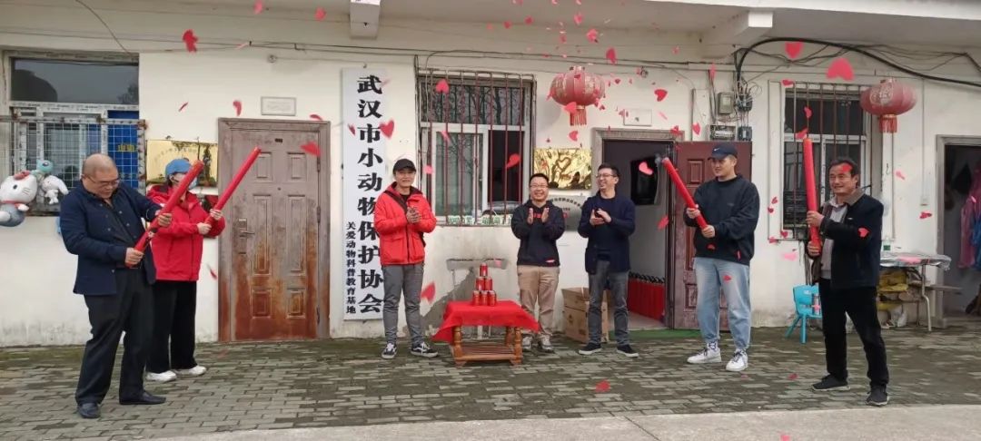 A8 驻留 | 武汉流浪小动物基地改造过程大揭秘