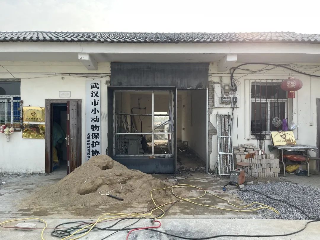A8 驻留 | 武汉流浪小动物基地改造过程大揭秘